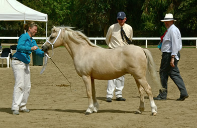 Lochinvar Pandora