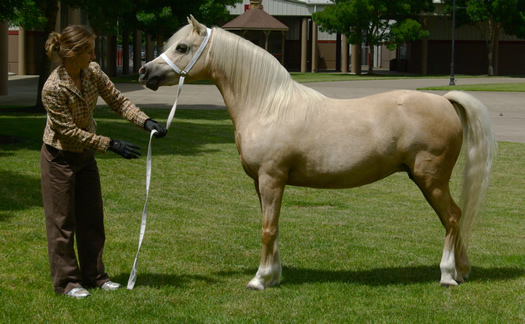 Pandora at OWPS where she was Res. Supreme Champion
